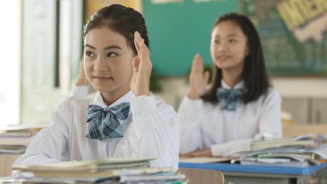 高职单招全面报考指南钉考单招凯发k8国际2025年河北省(图1)