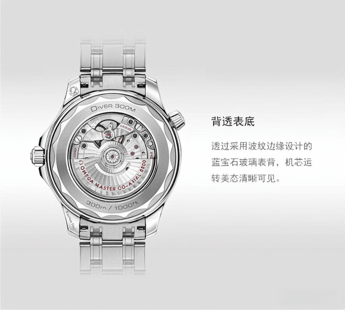 前十名及其独特魅力瑞士手表品牌排行榜(图8)